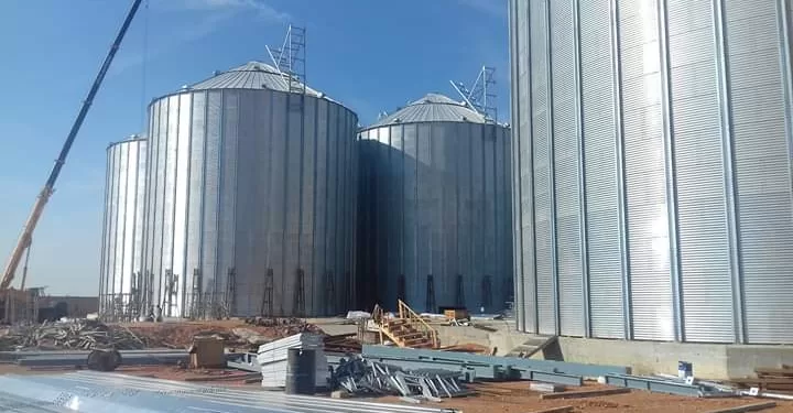 خطوة نحو الاكتفاء..توريد 599 ألفًا و735 طنًا من محصول القمح