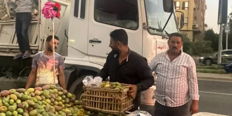 حملات مكثفة بجهاز مدينة الشيخ زايد لمواجهة المخالفات والظواهر السلبية