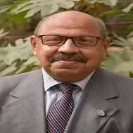 «المانجروف».. كنز بيئي يدعم الأمن الغذائي والتنوع البيولوجي 2 - جريدة الجمهورية 45454 - جريدة الجمهورية