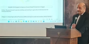 مركز البحوث الزراعية يختتم ورشة عمل حول الممارسات الزراعية الجيدة للقمح بدعم الاتحاد الأوروبي