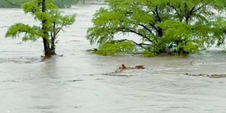 24 قتيلًا فى «فيضان مفاجئ» بتكساس الأمريكية 1 - جريدة الجمهورية رحيل «مروان وصابر» على طاولة بيراميدز