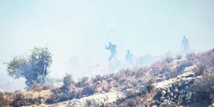 «بلطجة» تحت الحماية العسكرية! 1 - جريدة الجمهورية «أشغال شاقة» فى بيراميدز..قبل المعسكر الخارجى