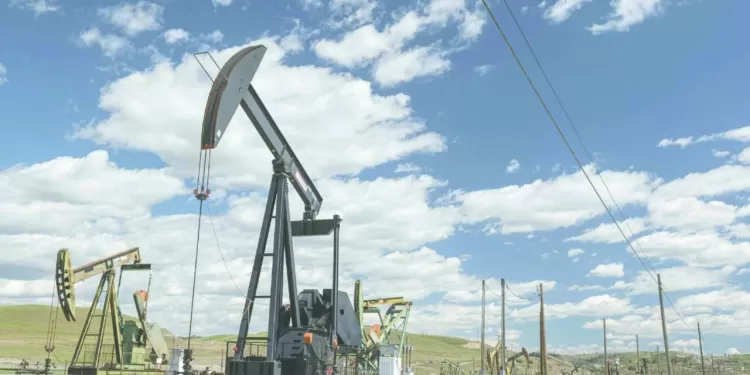 تشيلسى الفريق الأكثر تهديفًا.. وسان جيرمان بالمركز الثانى