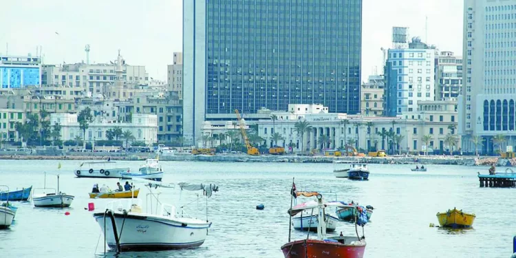 منصة إلكترونية لتصدير العقار 1 - جريدة الجمهورية بعد «المهدى وبانزا» الزمالك يضم عمرو ناصر 5 مواسم