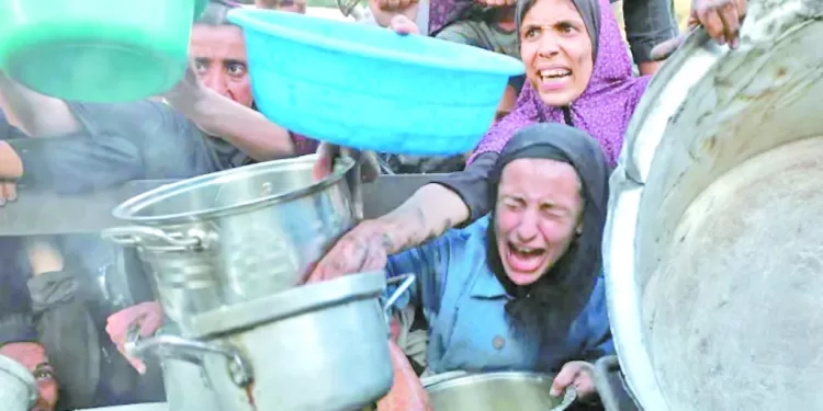  «وسام» يتدرب منفردًا .. والأهلى «يفرض شروطه»