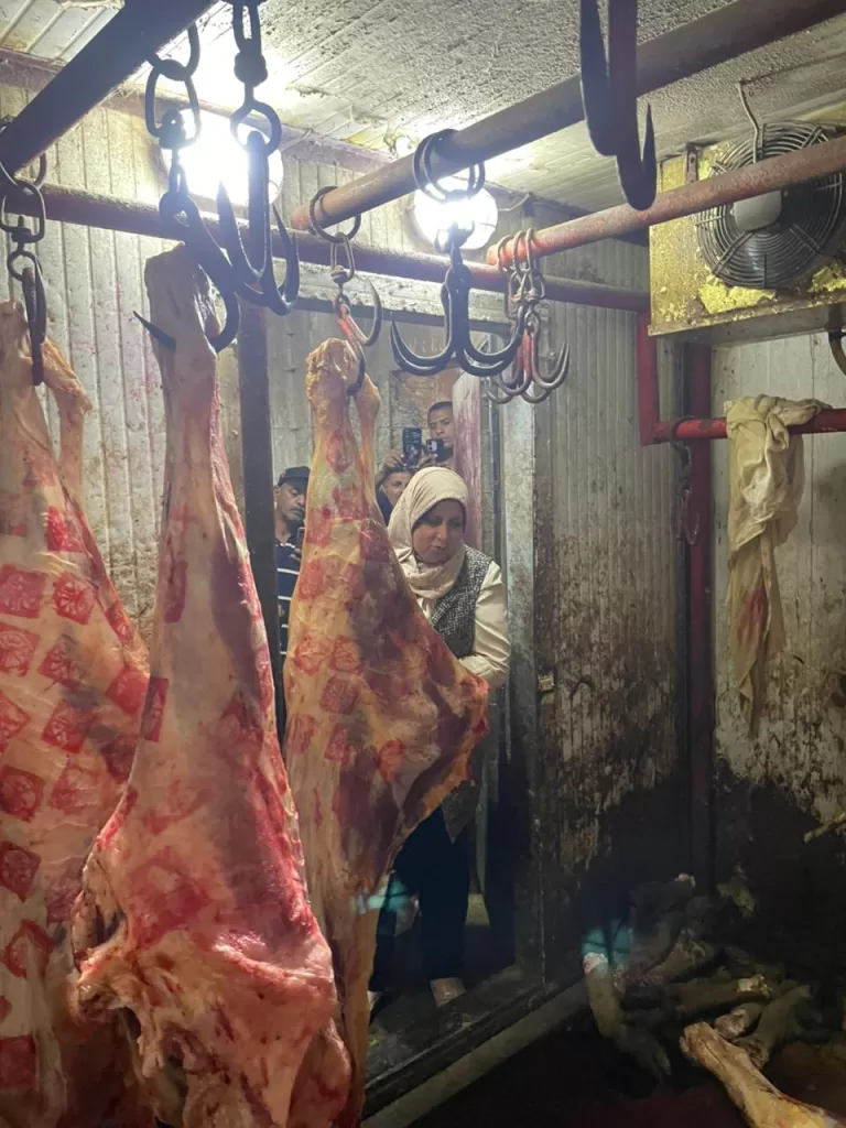 المنوفية: ضبط 5 أطنان لحوم فاسدة ومريضة قبل بيعها للمواطنين 6 - جريدة الجمهورية IMG 20250723 WA0236 - جريدة الجمهورية
