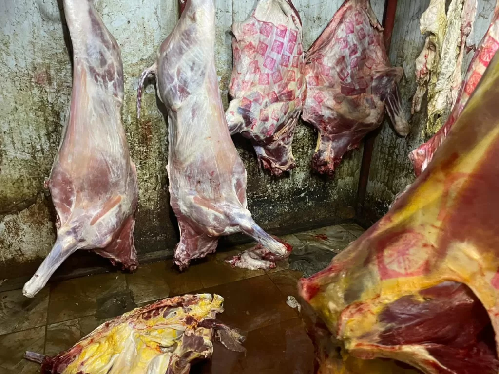 المنوفية: ضبط 5 أطنان لحوم فاسدة ومريضة قبل بيعها للمواطنين 3 - جريدة الجمهورية IMG 20250723 WA0237 - جريدة الجمهورية