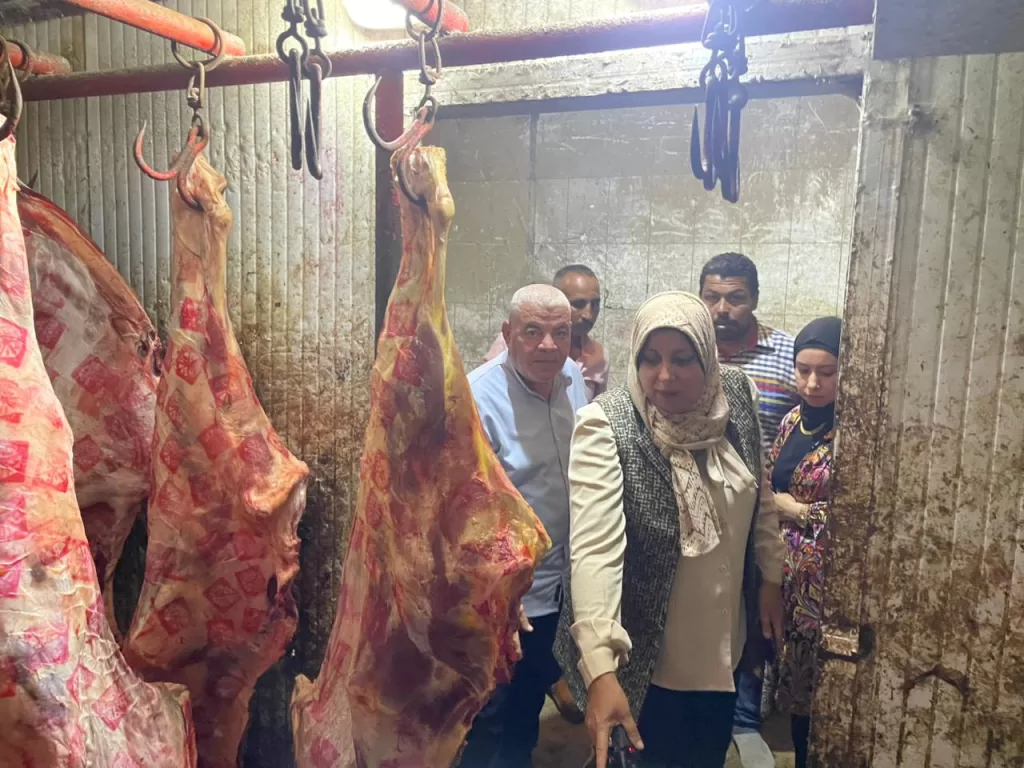 المنوفية: ضبط 5 أطنان لحوم فاسدة ومريضة قبل بيعها للمواطنين 4 - جريدة الجمهورية IMG 20250723 WA0239 - جريدة الجمهورية