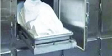 «المصرى» يبحث عن لاعبين جدد ويودّع «السمعة»