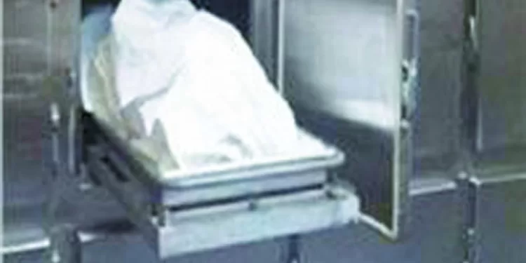 «المصرى» يبحث عن لاعبين جدد ويودّع «السمعة»