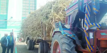 إخلاء سبيل رمضان صبحى بكفالة 100 ألف جنيه