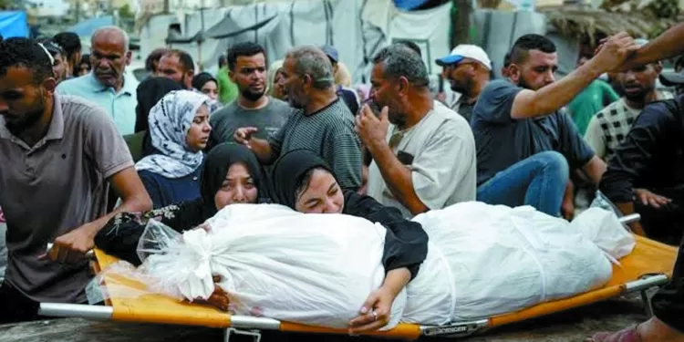 غزة تنتظر الهدنة: «حماس» تسلم الوسطاء ردًا إيجابيًا.. وتوقعات بإعلان ترامب وقف إطلاق النار 