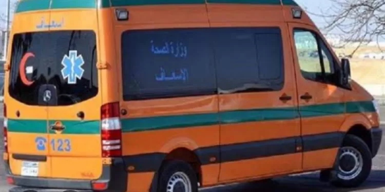 تسرب غاز يخلف 19 إصابة.. تحقيقات موسعة في حادث مصنع الثلج بالشرقية