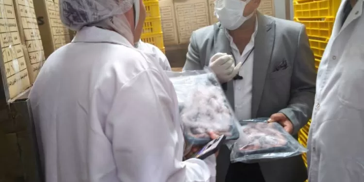 بالتعاون مع التموين والبيئة.. ضبط 4 أطنان منتجات دواجن ولحوم مجهولة المصدر 1 - جريدة الجمهورية بالتعاون مع التموين والبيئة.. ضبط 4 أطنان منتجات دواجن ولحوم مجهولة المصدر