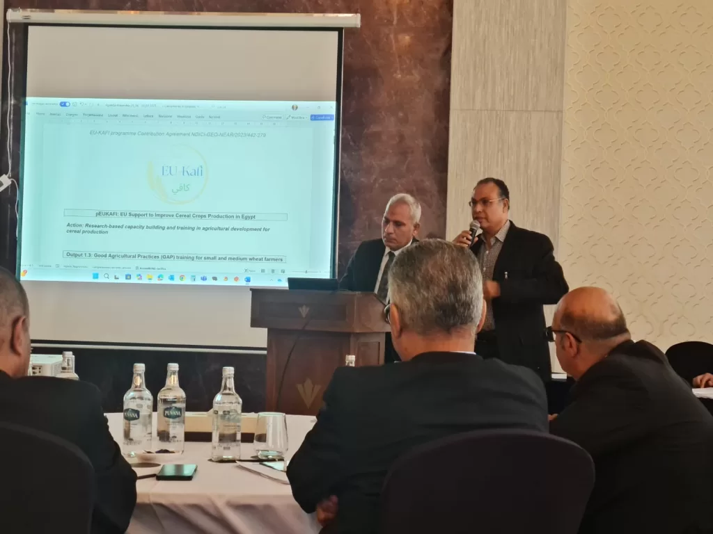 مركز البحوث الزراعية يختتم ورشة عمل حول الممارسات الزراعية الجيدة للقمح بدعم الاتحاد الأوروبي 2 - جريدة الجمهورية WhatsApp Image 2025 07 02 at 12.39.19 PM - جريدة الجمهورية