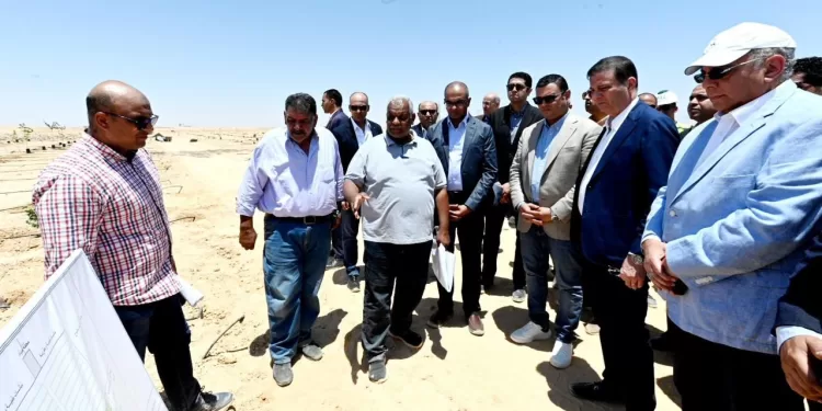 خلافات الآباء يدفع ثمنها الأبناء.. شاب ينهي حياة أطفاله الثلاثة طعنًا بالسكين بعد هجر زوجته للمنزل