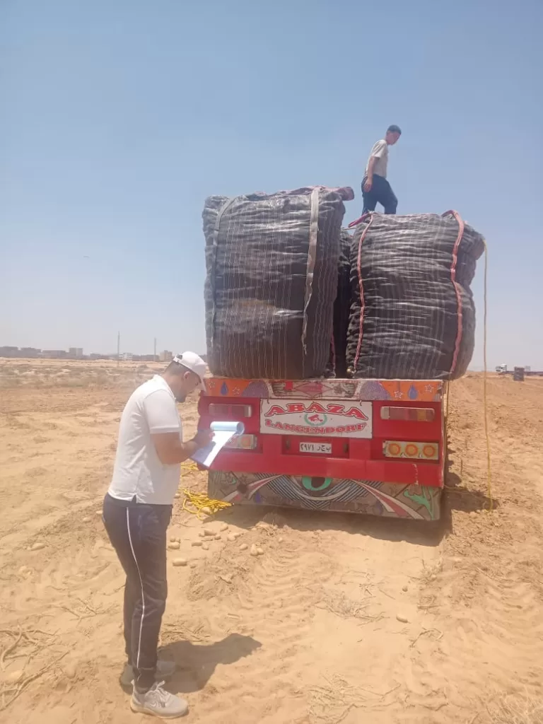 حصاد آمن.. «الزراعة» تنجح في فحص 1.3 مليون طن بطاطس للتصدير دون عفن بني 2 - جريدة الجمهورية WhatsApp Image 2025 07 03 at 5.19.49 PM - جريدة الجمهورية