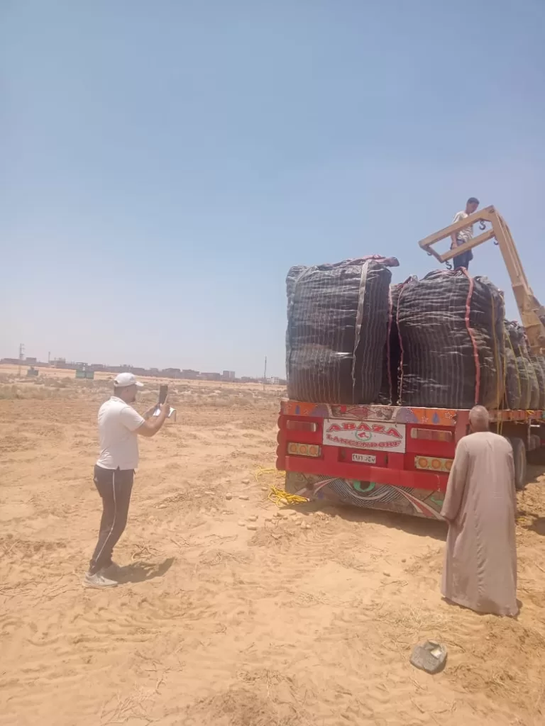 حصاد آمن.. «الزراعة» تنجح في فحص 1.3 مليون طن بطاطس للتصدير دون عفن بني 5 - جريدة الجمهورية WhatsApp Image 2025 07 03 at 5.19.51 PM - جريدة الجمهورية