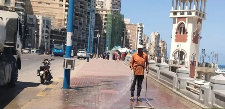 شوارع أنظف.. حملة بالإسكندرية تزيل 176 ألف طن مخلفات
