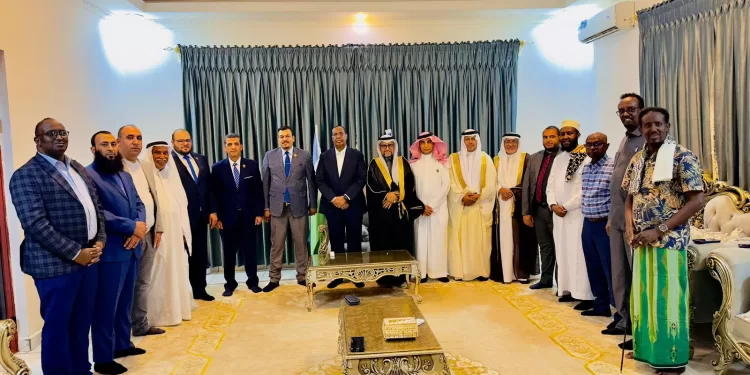 مجلس الاقتصاد العربي الإفريقي والصومال يبحثان تعزيز التعاون المشترك 1 - جريدة الجمهورية  مجلس الاقتصاد العربي الإفريقي والصومال يبحثان تعزيز التعاون المشترك