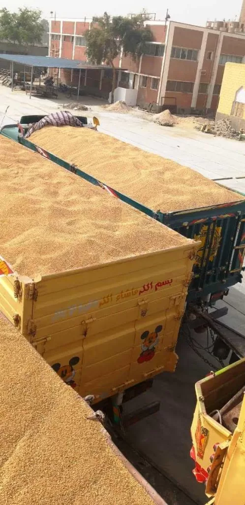 محافظ سوهاج: صرف 2.5 مليار جنيه للمزارعين.. توريد القمح يتجاوز المستهدف بـ183 ألف طن 2 - جريدة الجمهورية WhatsApp Image 2025 07 20 at 5.09.40 PM 1 - جريدة الجمهورية