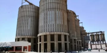 محافظ سوهاج: صرف 2.5 مليار جنيه للمزارعين.. توريد القمح يتجاوز المستهدف بـ183 ألف طن