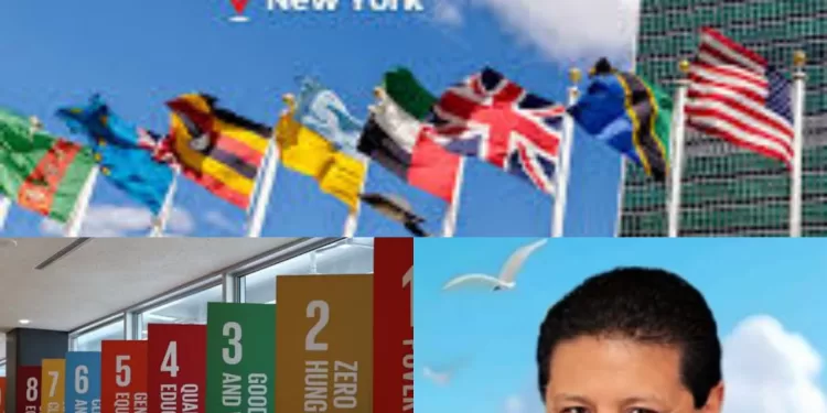 الشربيني..  يبرز دور مصر في تسريع العمل المناخي والتنموي على الساحة الدولية