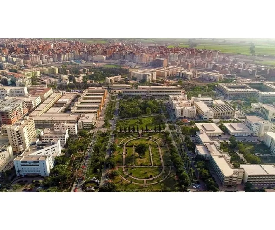 جامعة المنصورة تتصدر جوائز الدولة لعام 2024 بتسع جوائز علمية 3 - جريدة الجمهورية WhatsApp Image 2025 07 22 at 4.35.21 PM - جريدة الجمهورية