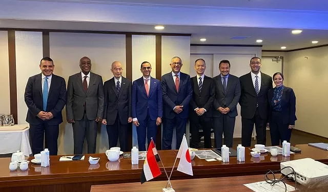 مصر واليابان نحو تعاون استثماري في الزجاج والسيارات والموانئ