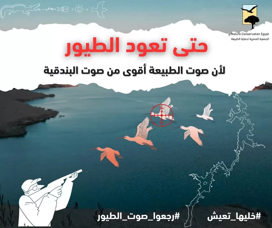 مصر تحلق: مبادرة لوقف الصيد الجائر وحماية الطيور غدا بنقابة الصحفيين 2 - جريدة الجمهورية WhatsApp Image 2025 07 27 at 14.02.56 43a253d6 - جريدة الجمهورية