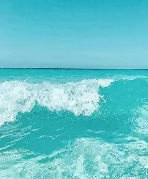 منع السباحة في الشواطئ المفتوحة بمطروح بسبب ارتفاع الأمواج 3 - جريدة الجمهورية WhatsApp Image 2025 07 27 at 8.04.53 PM 2 - جريدة الجمهورية