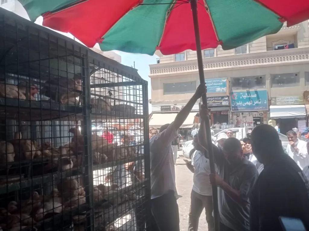 حملات مكثفة علي محلات الجزارة والأسماك والدواجن بمطروح 3 - جريدة الجمهورية WhatsApp Image 2025 07 27 at 8.07.28 PM - جريدة الجمهورية