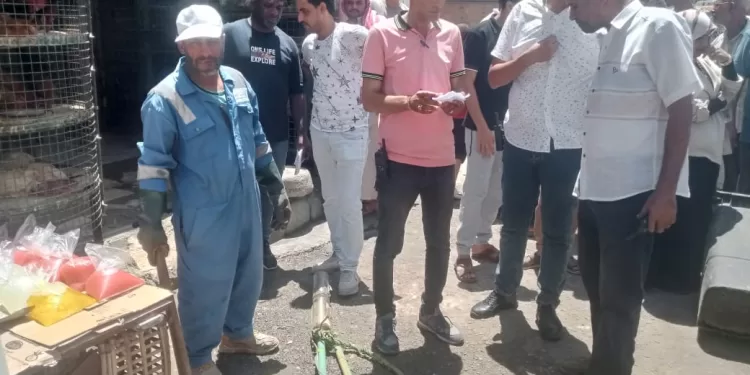 حملات مكثفة علي محلات الجزارة والأسماك والدواجن بمطروح 1 - جريدة الجمهورية حملات مكثفة علي محلات الجزارة والأسماك والدواجن بمطروح