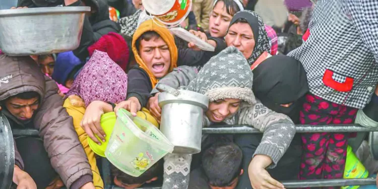 جهود مستمرة لوضع حد للحرب