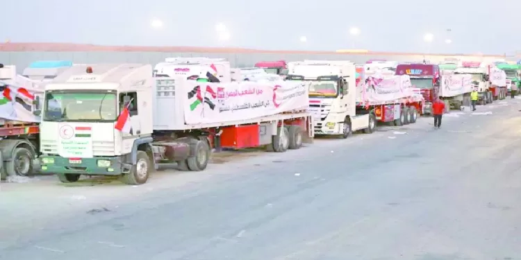 التاريخ يتحدث.. والأرقام تؤكد.. والمواقف تشهد: مصر.. سند فلسطين الصلب 1 - جريدة الجمهورية التاريخ يتحدث.. والأرقام تؤكد.. والمواقف تشهد: مصر.. سند فلسطين الصلب