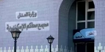 الإسكندرية تستقبل 9 مرشحين في انطلاق سباق انتخابات مجلس الشيوخ