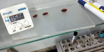 «صحة سوهاج» تضبط معملًا لتجميع الدم دون ترخيص في «مركز البلينا»