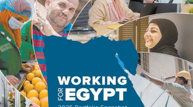 المشاط: تمكين القطاع الخاص وتعزيز مشاركته فى قيادة التنمية