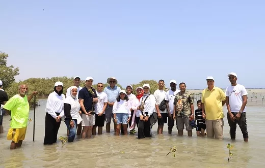 شباب منتدى البيئة الساحلية بالغردقة يزرعون أشجار المانجروف وينظفون الشواطئ 3 - جريدة الجمهورية 4 27 - جريدة الجمهورية