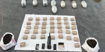 ضربات استباقية لتجار الموت.. ضبط 13 طنًا من «الكيف المدمر» بـ800 مليون جنيه