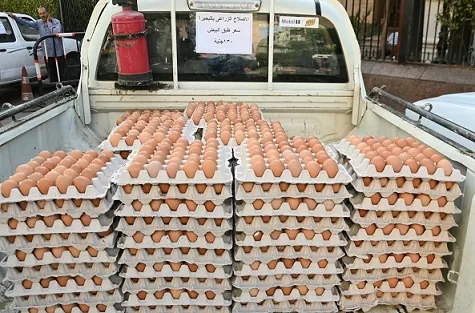 «12» سيارة محملة بـ«1000» طبق بيض لتغطية احتياجات البحيرة 3 - جريدة الجمهورية 7 16 - جريدة الجمهورية