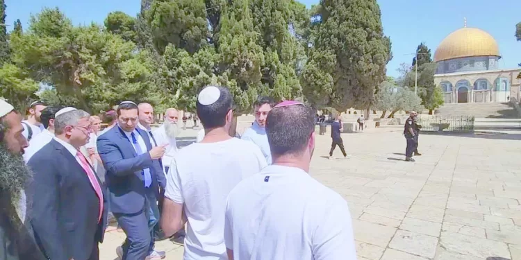 بيراميدز يزاحم «الأبيض»