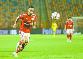 منافس جديد لـ «الأناكوندا»