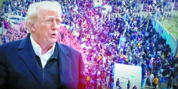 منافس جديد لـ «الأناكوندا»