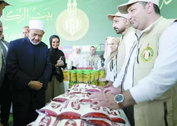 منافس جديد لـ «الأناكوندا»