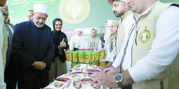 «زاد العزة» يواصل دعم غزة 1 - جريدة الجمهورية منافس جديد لـ «الأناكوندا»