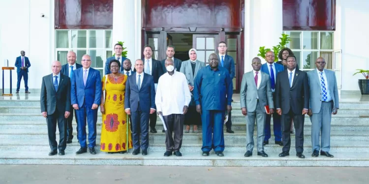 منافس جديد لـ «الأناكوندا»