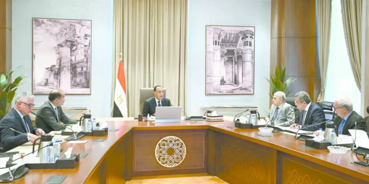 مدبولى فى اجتماعات وزارية: خطوات تنفيذية لإصلاح وتطوير مؤسسات الدولة 1 - جريدة الجمهورية منافس جديد لـ «الأناكوندا»