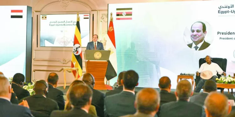 نور الشريف.. عاش يتيمًا.. ومات شهيرًا