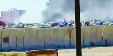 «مرموش».. فى 25 دقيقة